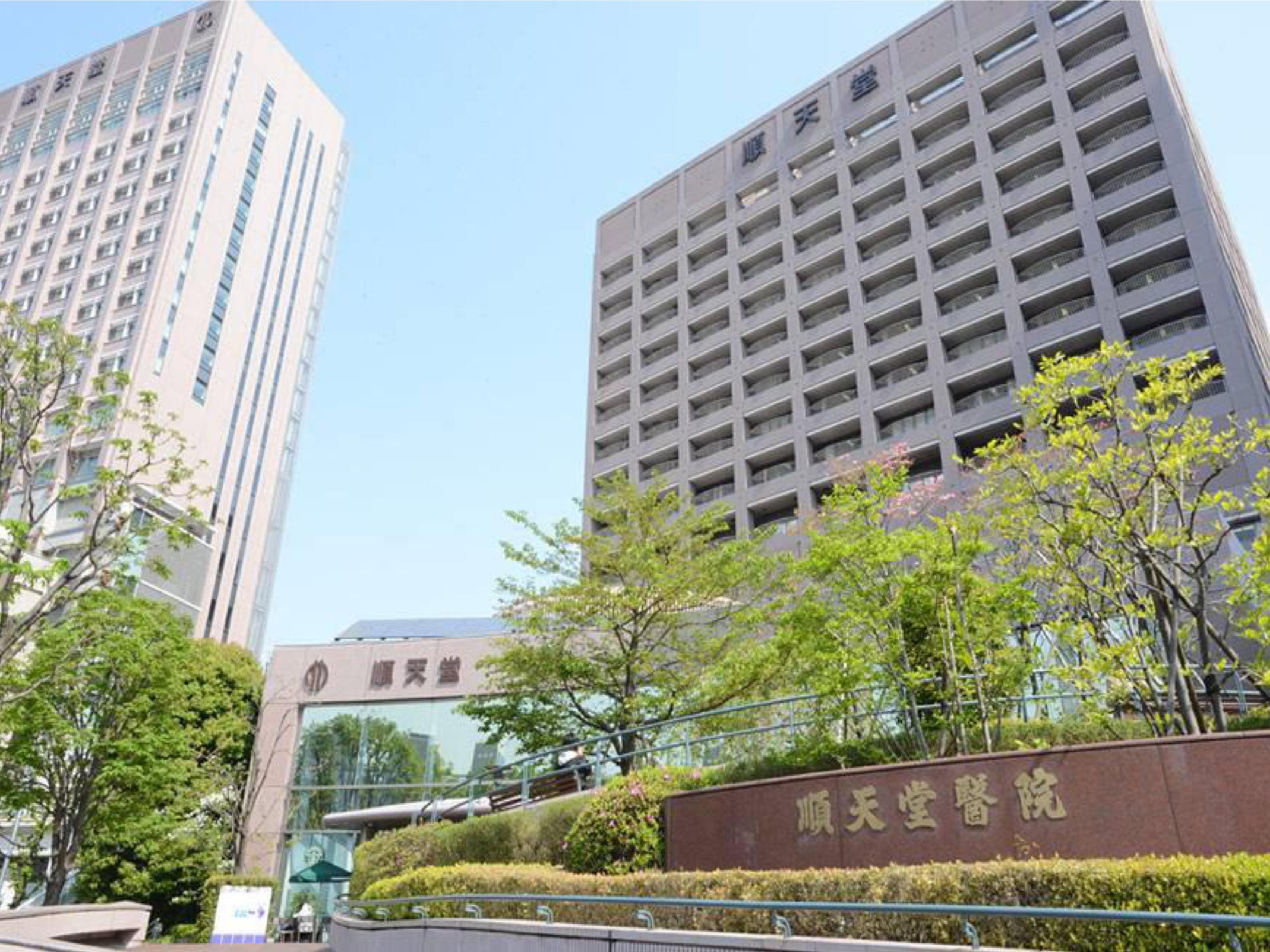 病院 協和 中央